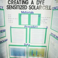 Dye-Sensitized Solar Cel