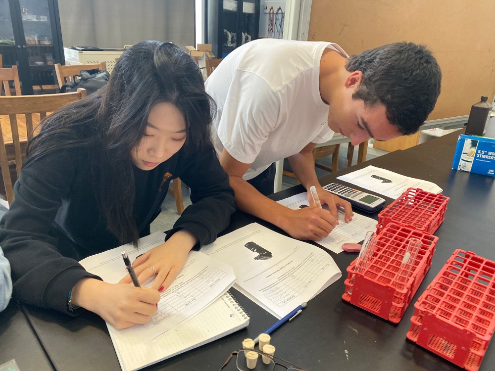 Two Students Working
